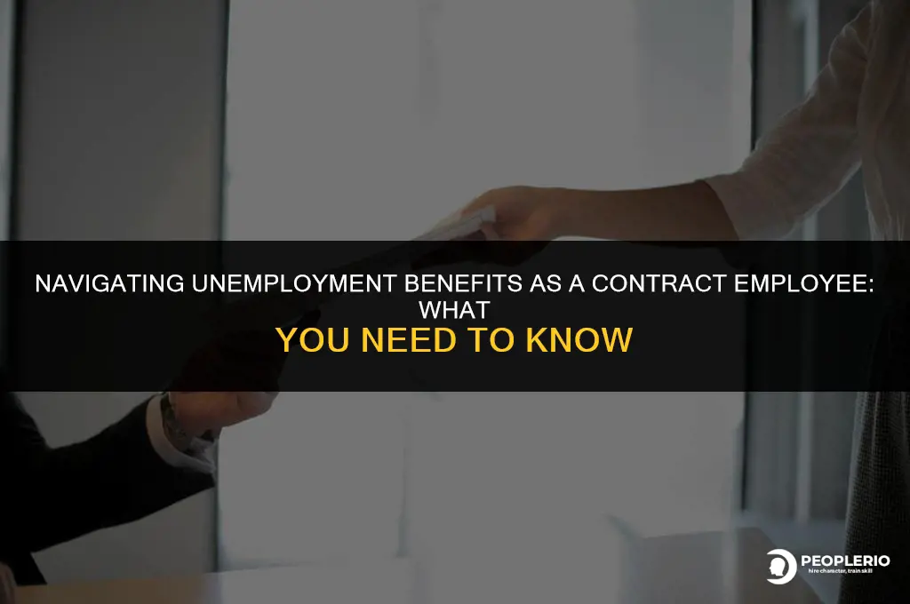 can you collect unemployment if you are a contract employee