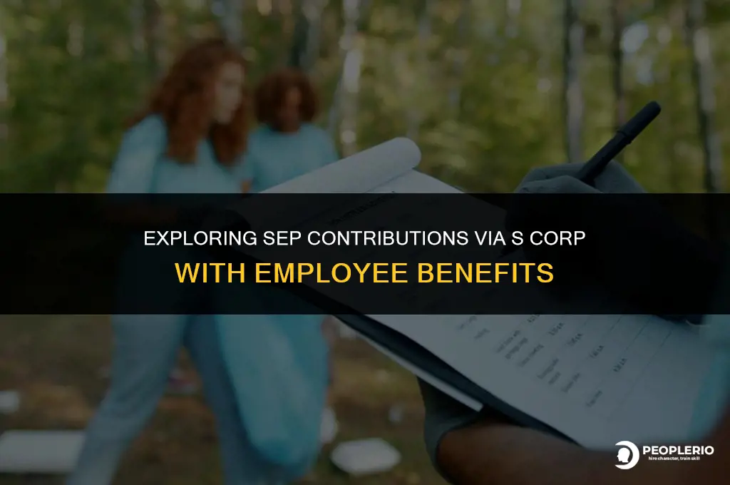 can you contribute to sep through s corp with employee