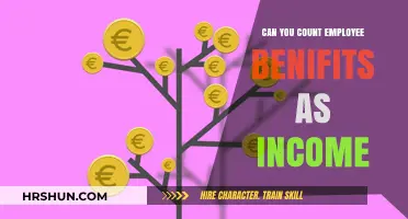 Understanding Employee Benefits: Are They Considered Income?