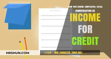Decoding Employee Compensation: Is It Counted as Income for Credit?