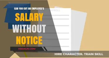 Navigating Salary Reductions: Legal and Ethical Considerations for Employers