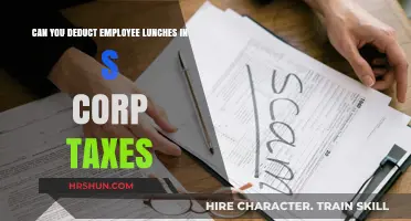 Tax Tips: Deducting Employee Lunches in S Corp Taxes