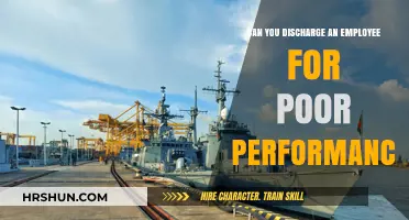 Navigating Performance-Based Terminations: A Guide for Employers