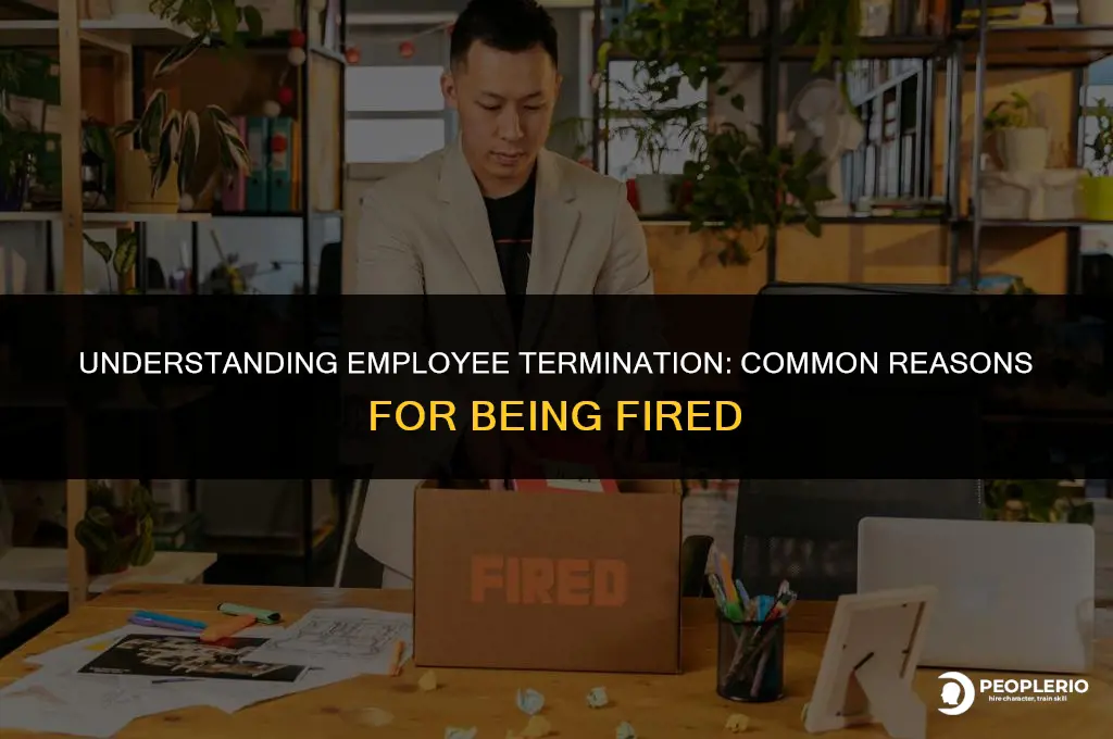 can you disciss a employee reasonfor being fired