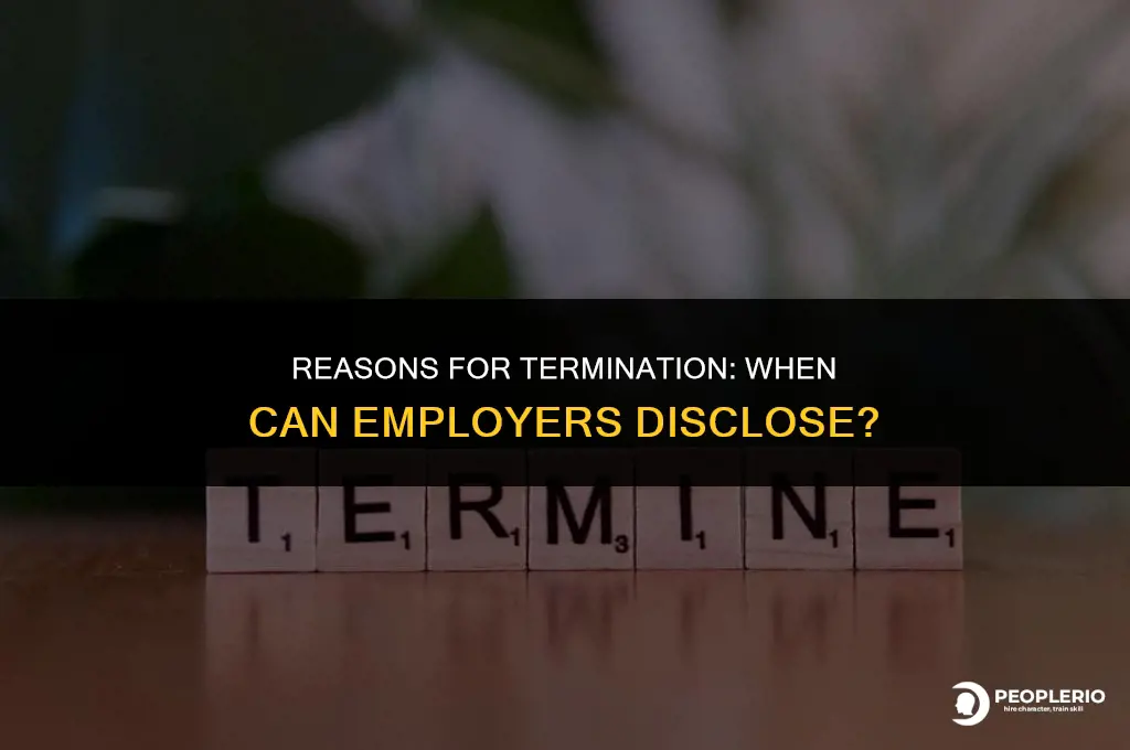 can you disclose why an employee was fired