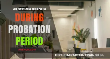 Navigating Probation Periods: Can You Dismiss an Employee?
