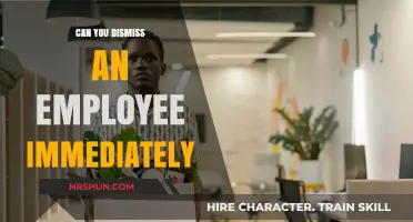 Can You Dismiss an Employee Immediately? Legal Insights and Considerations