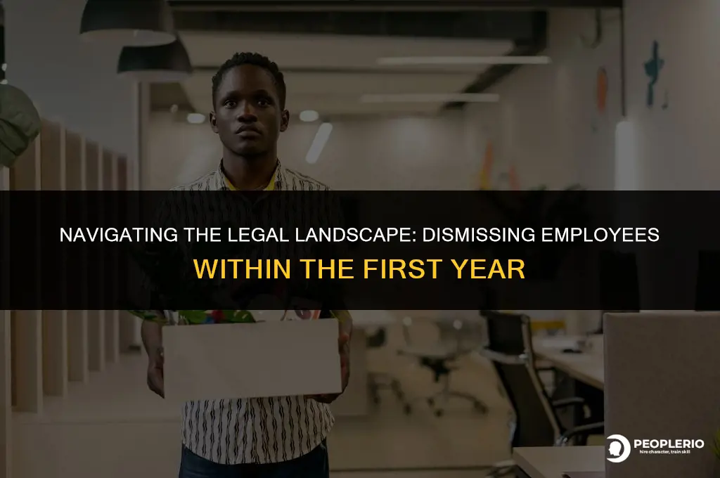 can you dismiss an employee within 12 months