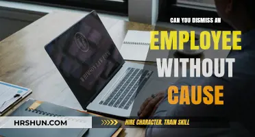 Understanding Employment Termination: Can You Dismiss an Employee Without Cause?