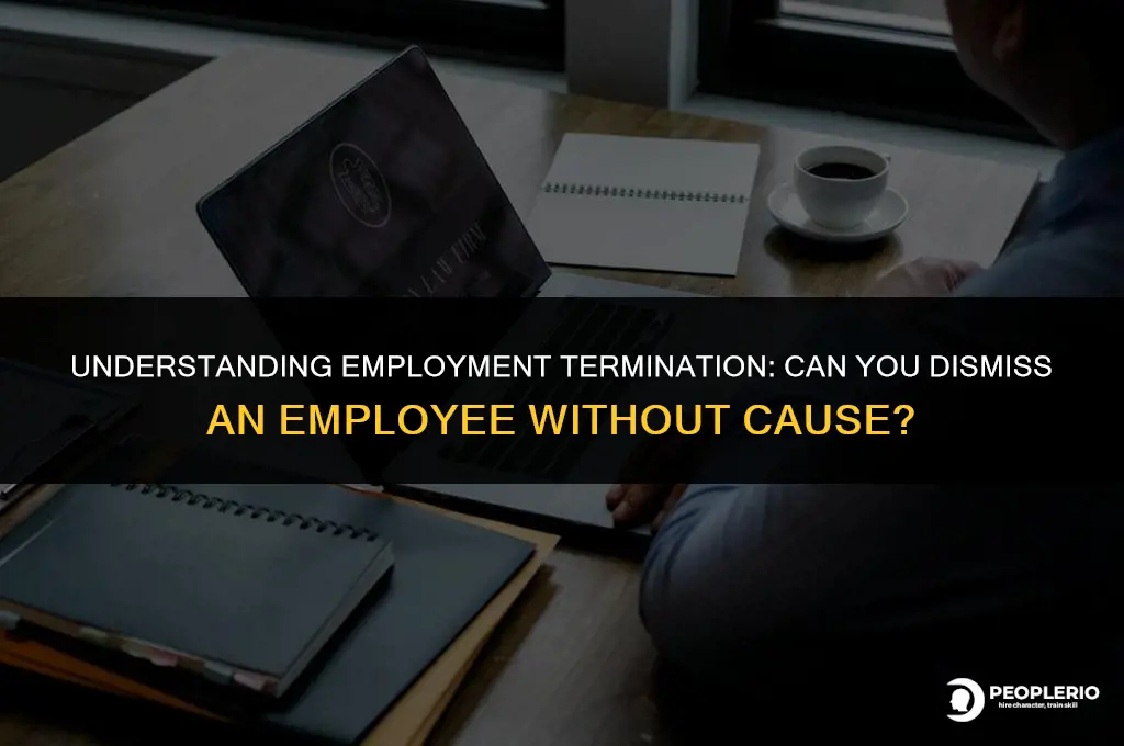 can you dismiss an employee without cause
