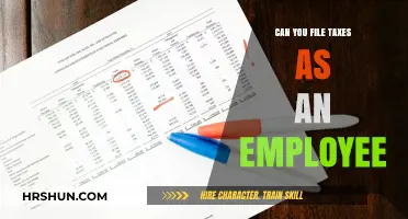 Decoding Tax Filing: A Comprehensive Guide for Employees