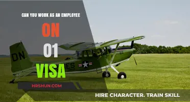 Working as an Employee on an O-1 Visa: What You Need to Know