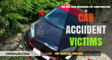 Matthew Broderick's Accountability: Compensation for Car Accident Victims?