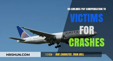 Do Airlines Pay Compensation to Victims for Crashes?