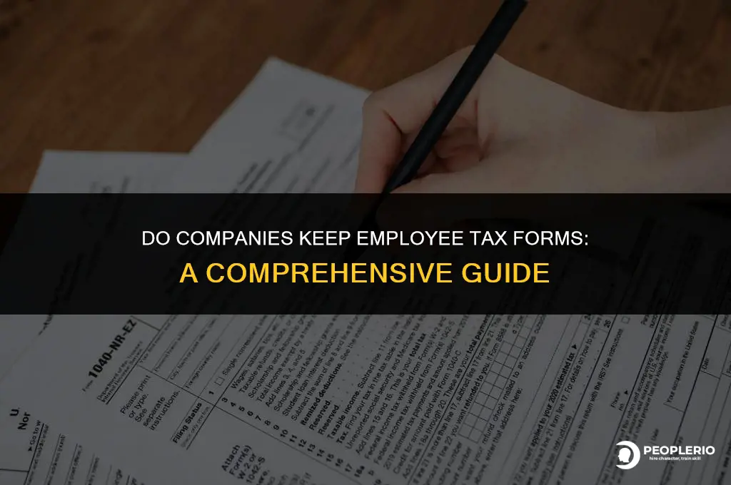 do companies keep employee tax forms