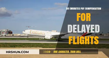 Understanding Emirates' Compensation Policy for Delayed Flights