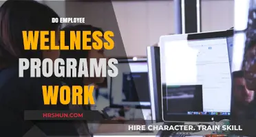 Boosting Productivity and Morale: The Impact of Employee Wellness Programs