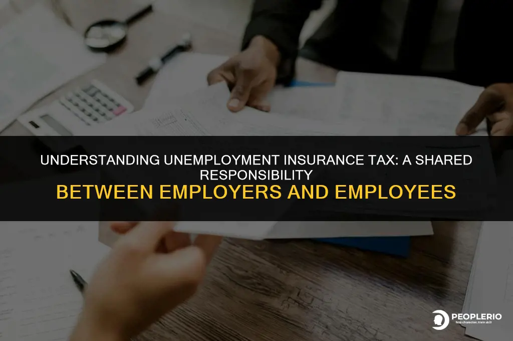 do employer and employee split state unemployment insurance tax