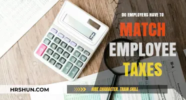 Understanding Tax Matching: Employer Obligations and Employee Benefits