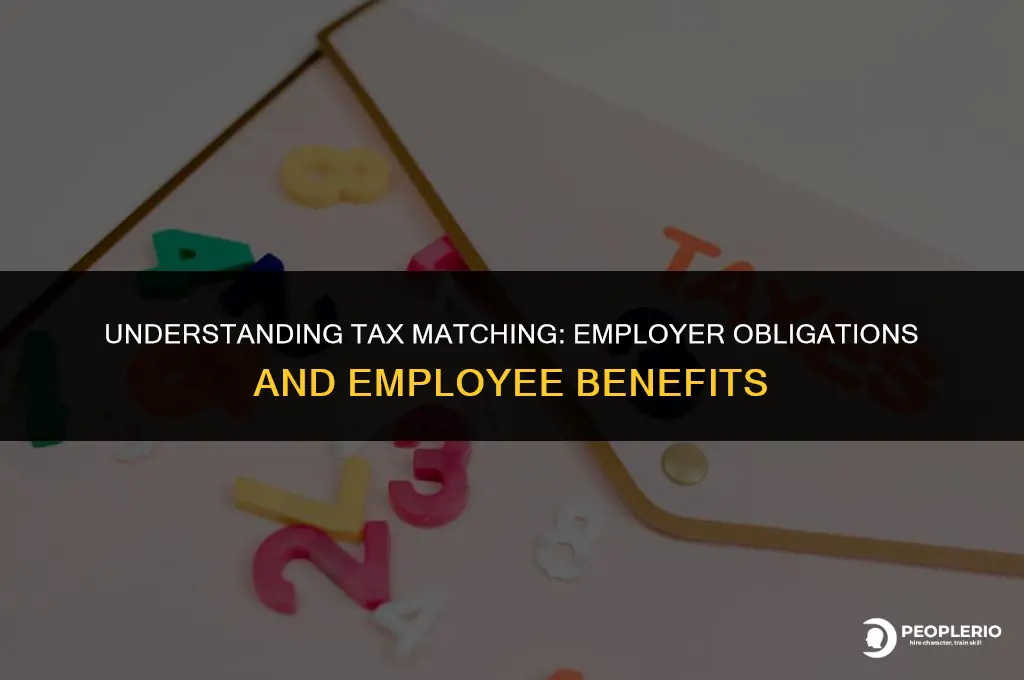 do employers have to match employee taxes