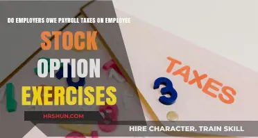 Decoding Payroll Taxes: Employee Stock Option Exercises Explained