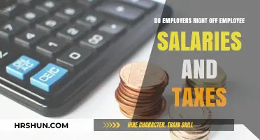 Decoding Payroll: How Employers Calculate Salaries and Taxes