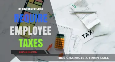 Decoding Government Employment: Understanding Tax Obligations for Public Servants