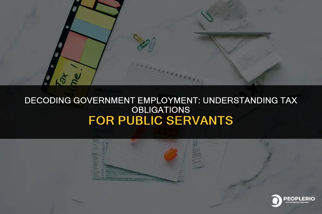 do government jobs require employee taxes