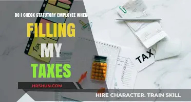 Understanding Statutory Employee Status for Tax Filing: A Guide