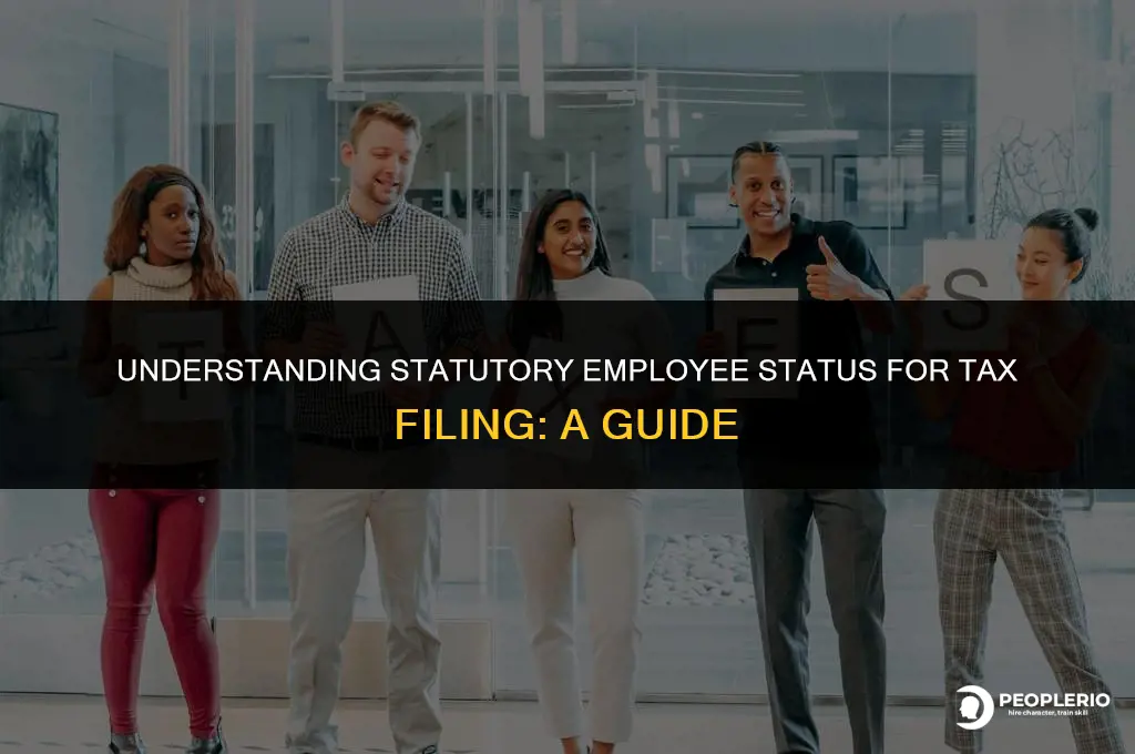 do i check statutory employee when filling my taxes