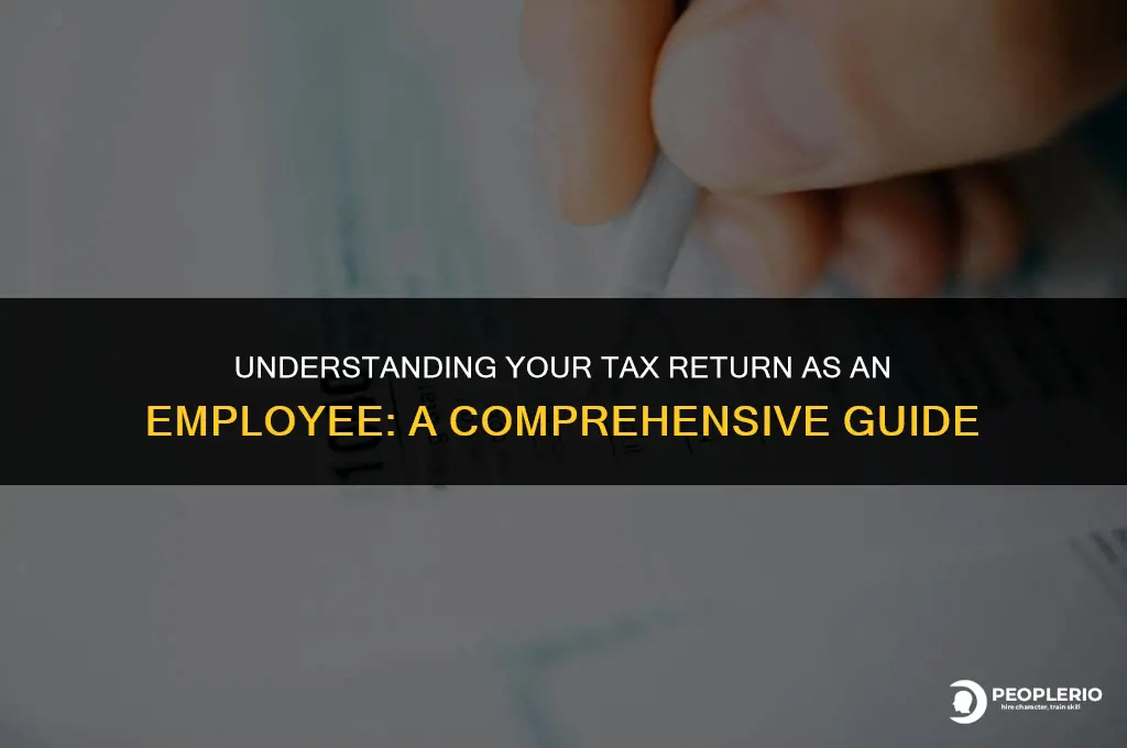 do i get tax return for employee