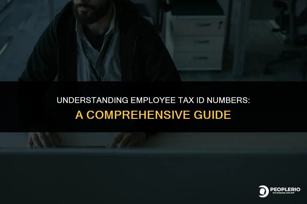 do i need a employee tax id number
