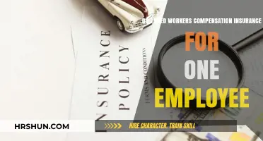 Essential Guide: Workers' Compensation Insurance for Solo Employers