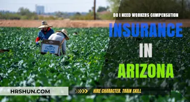 Understanding Workers' Compensation Insurance Requirements in Arizona