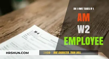 Understanding Tax Obligations as a W-2 Employee: A Comprehensive Guide