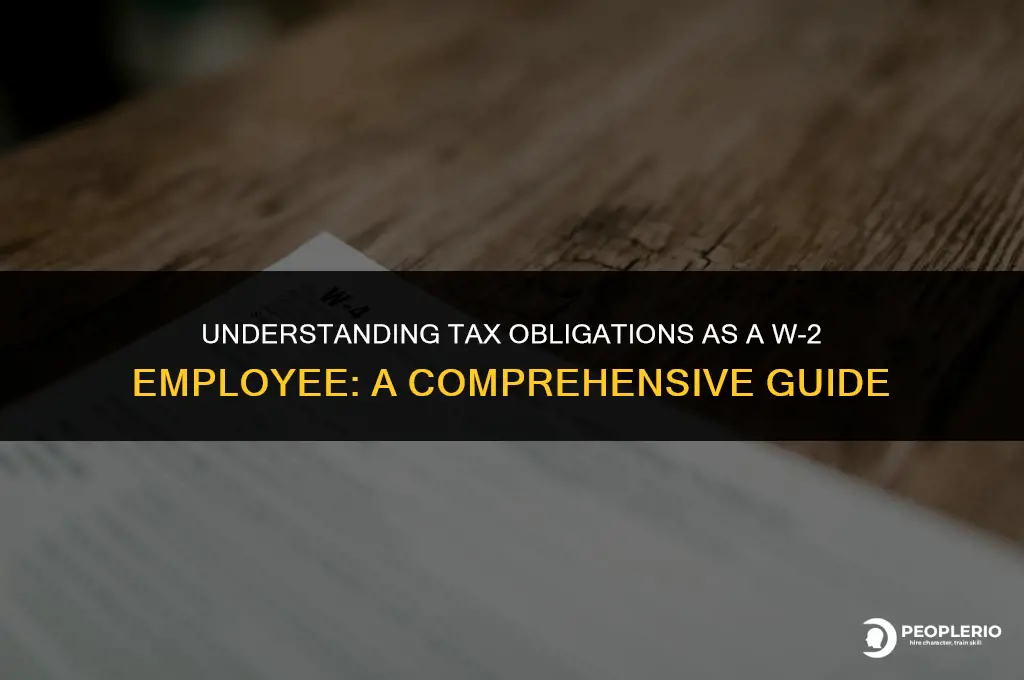 do i owe taxes if i am w2 employee