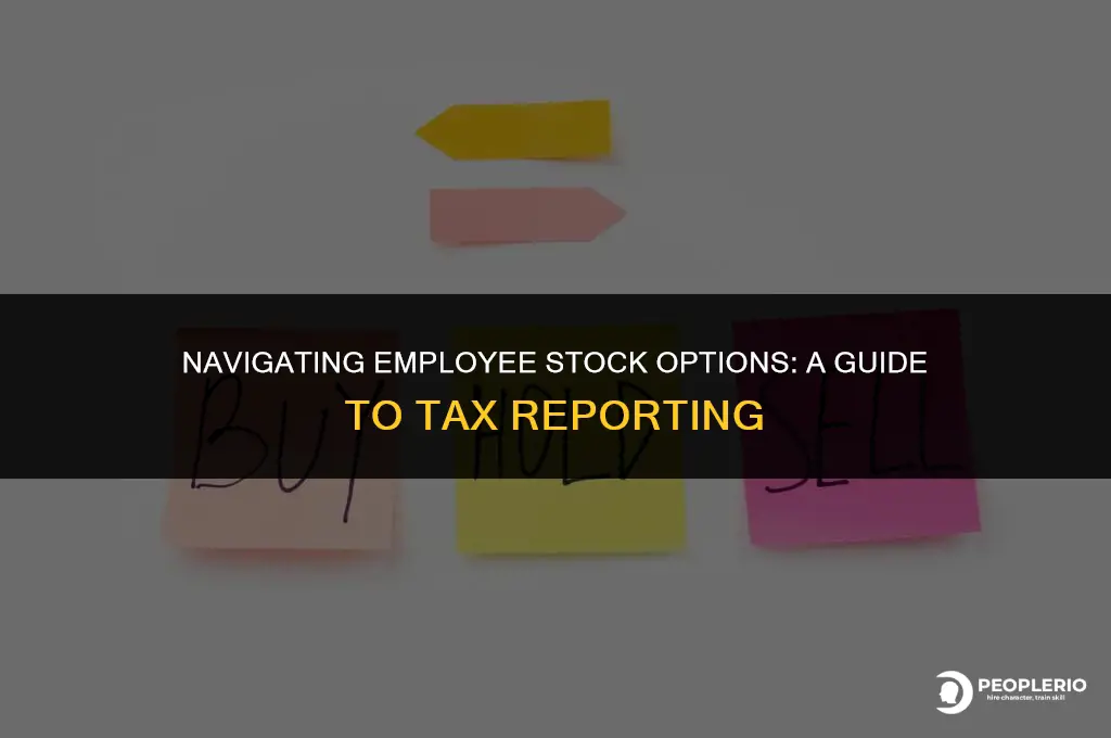 do i report my employee stock options