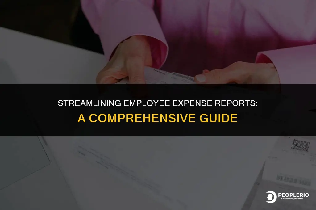 do our employee expense report