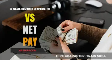 Understanding Your Paycheck: Wages, Tips, and Other Compensation vs. Net Pay