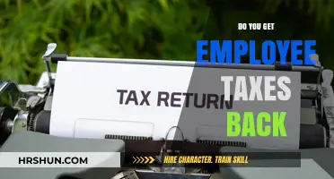 Understanding Employee Tax Refunds: A Comprehensive Guide