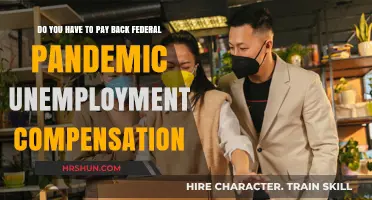 Navigating Pandemic Unemployment Compensation: Repayment Requirements Explained