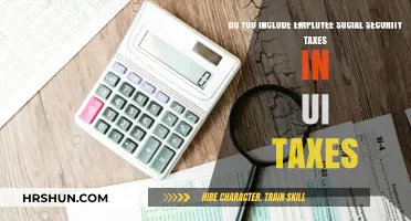 Decoding UI Taxes: The Role of Employee Social Security Contributions