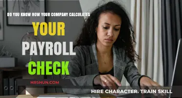 Understanding Your Paycheck: A Guide to Company Payroll Calculations