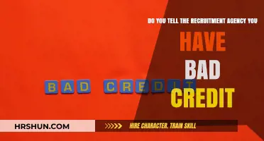 Should You Disclose Bad Credit to Recruitment Agencies?
