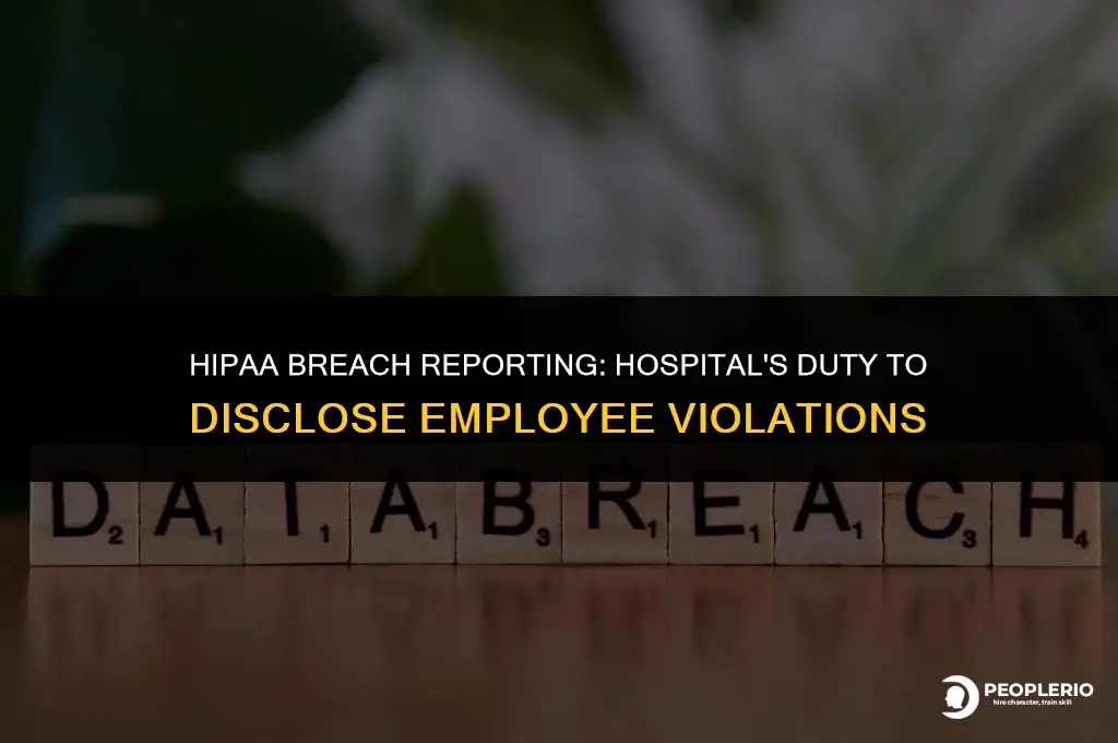 does a hospital have to report an employee hipaa violation