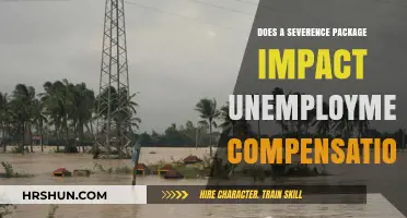 Understanding the Impact of Severance Packages on Unemployment Compensation