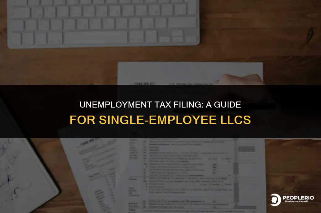 does a single employee llc need to file unemployment tax