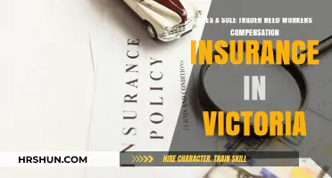 Essential Guide: Workers' Compensation Insurance for Victorian Sole Traders