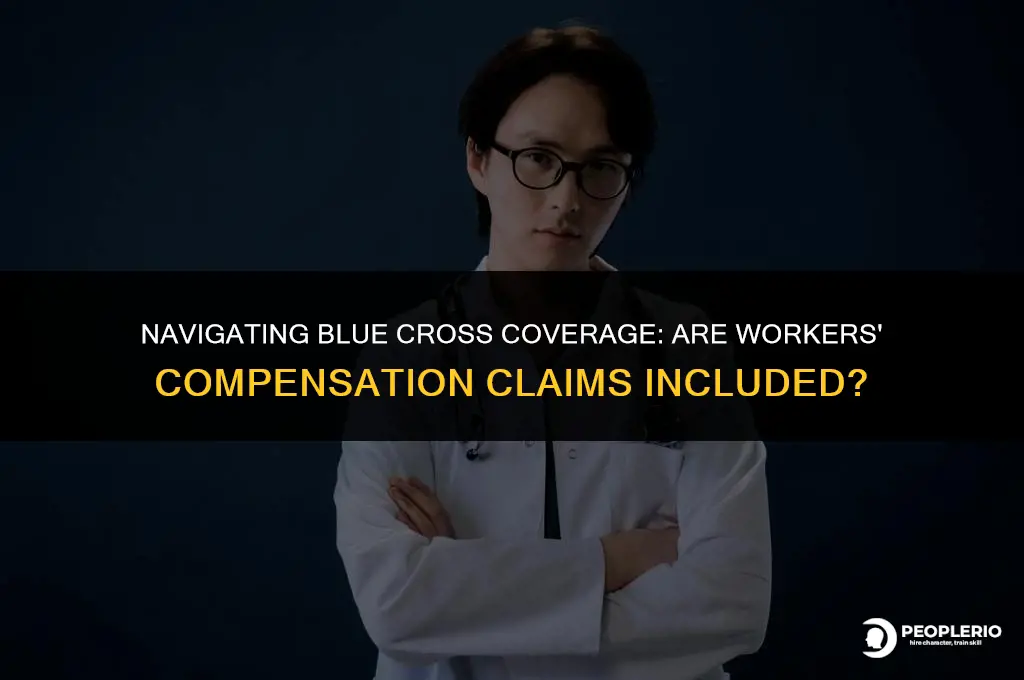 does blue cross exclude workers compensation claims