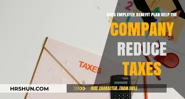 Maximizing Tax Savings: The Role of Employee Benefit Plans